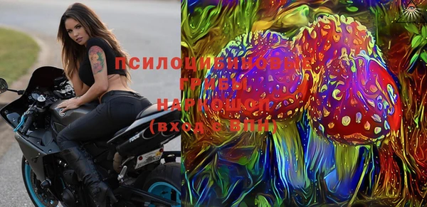 сатива Алексин