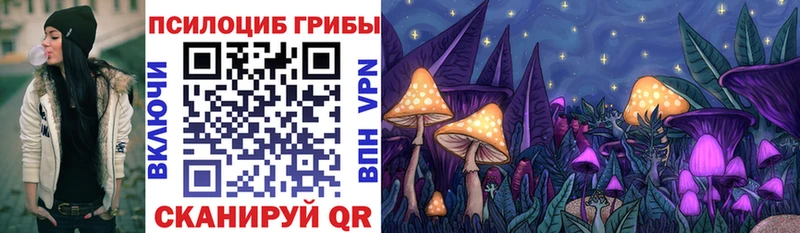 Купить закладки  Каргополь  Псилоцибиновые грибы GOLDEN TEACHER 