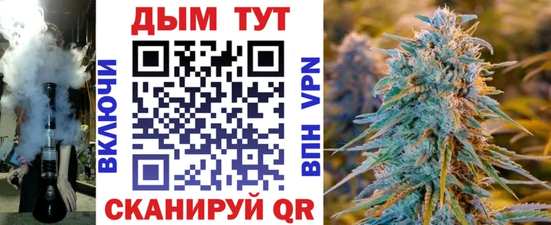 Купить  Каргополь  Шишки марихуана SATIVA & INDICA 